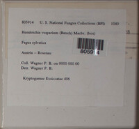 Image Associated With the Occurence